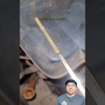 Revisar y constatar la veracidad de algo