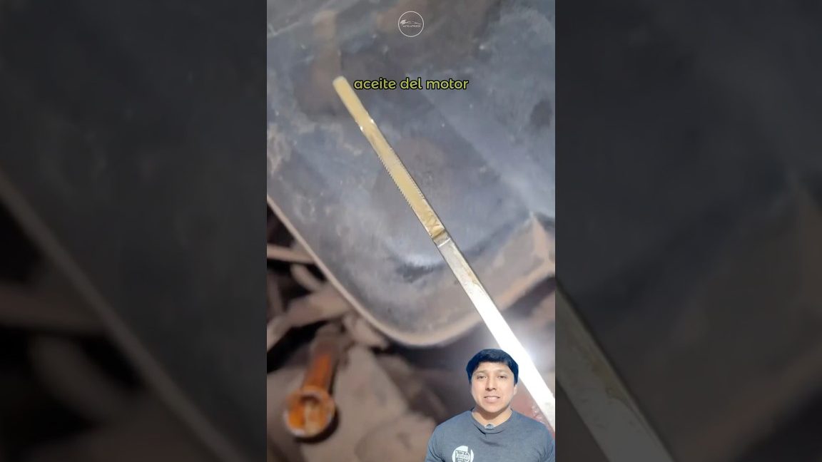 Revisar y constatar la veracidad de algo