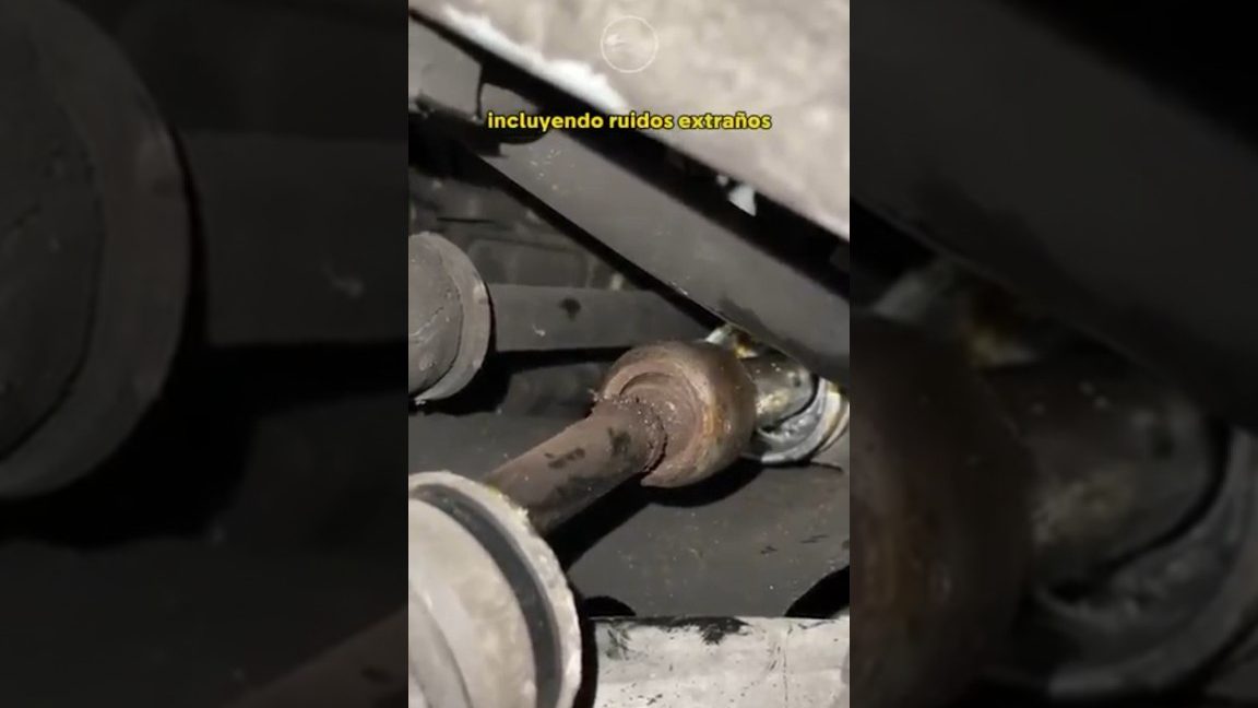 Diagnosticar ruidos y golpeteos en el motor