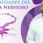 sistema nervioso