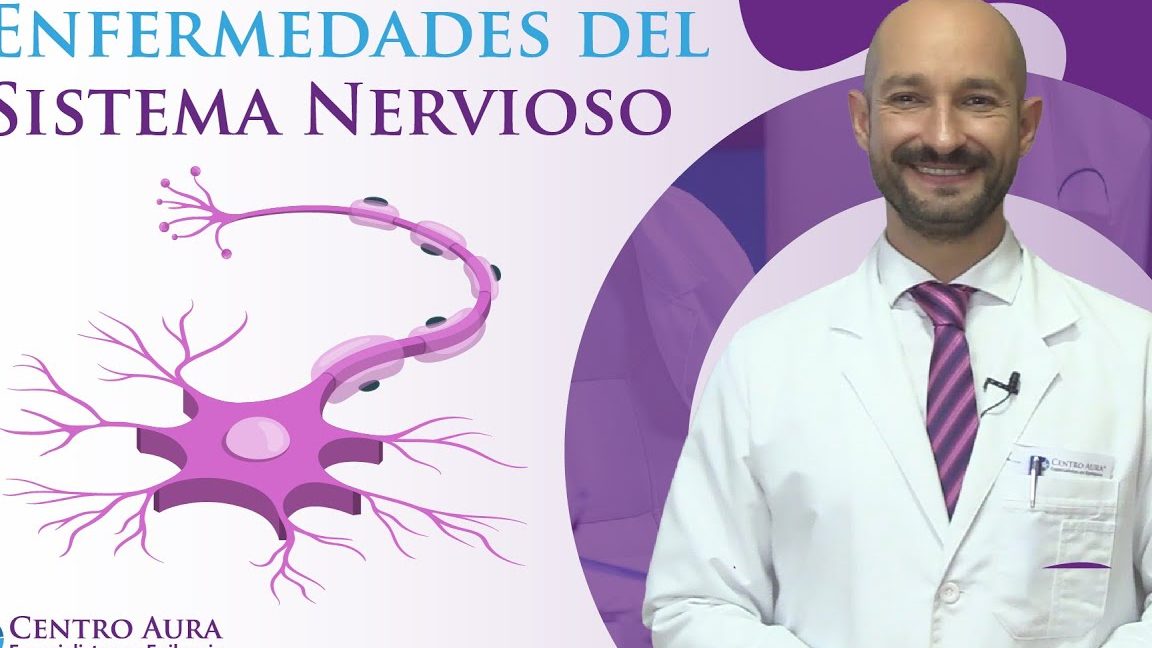 Explicar brevemente cómo funciona el sistema nervioso central