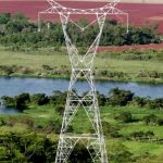 Investigar desarrollo de la torre eléctrica Palworld