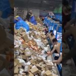 trabajadores sobresalientes