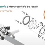 Instruir a la madre sobre los signos de transferencia de leche