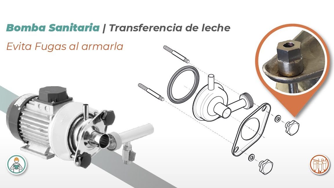 Instruir a la madre sobre los signos de transferencia de leche
