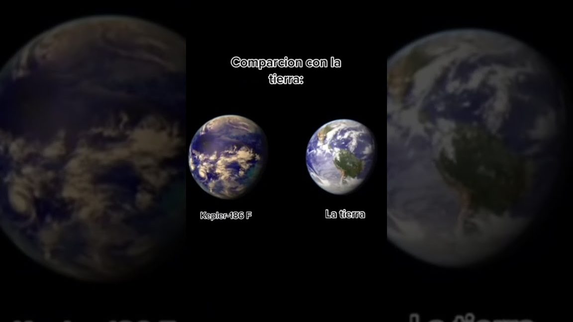 Contribuir con la preservación de la vida en el planeta y la salvación de la especie humana